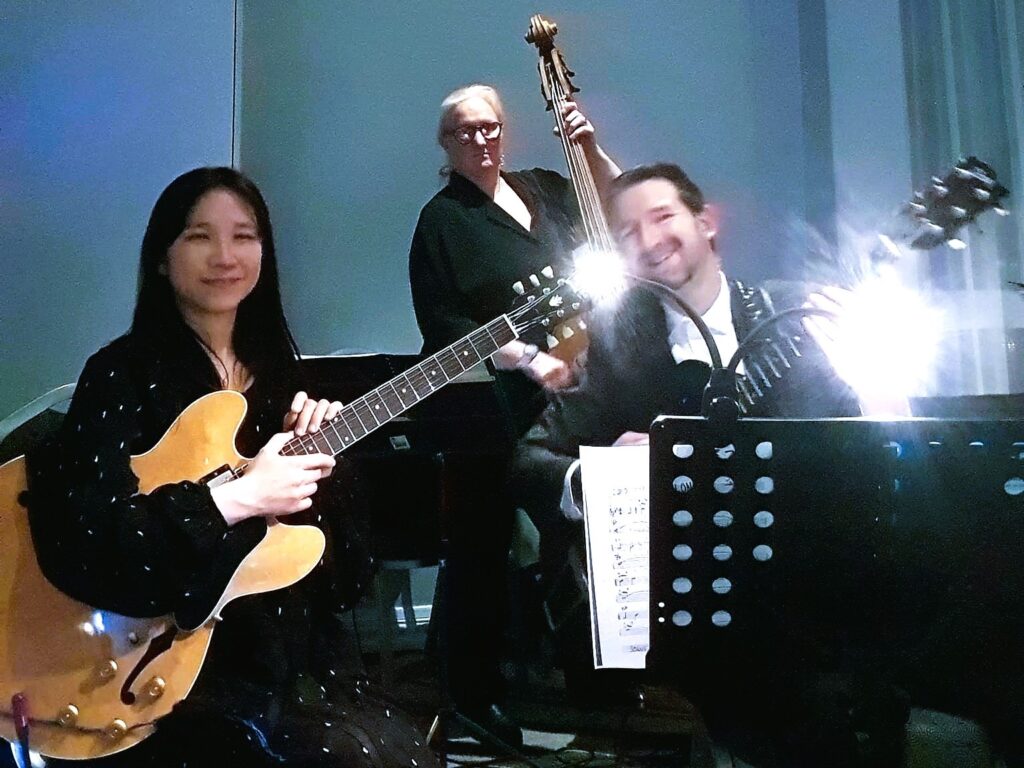 MiSa jazz trio with double bass